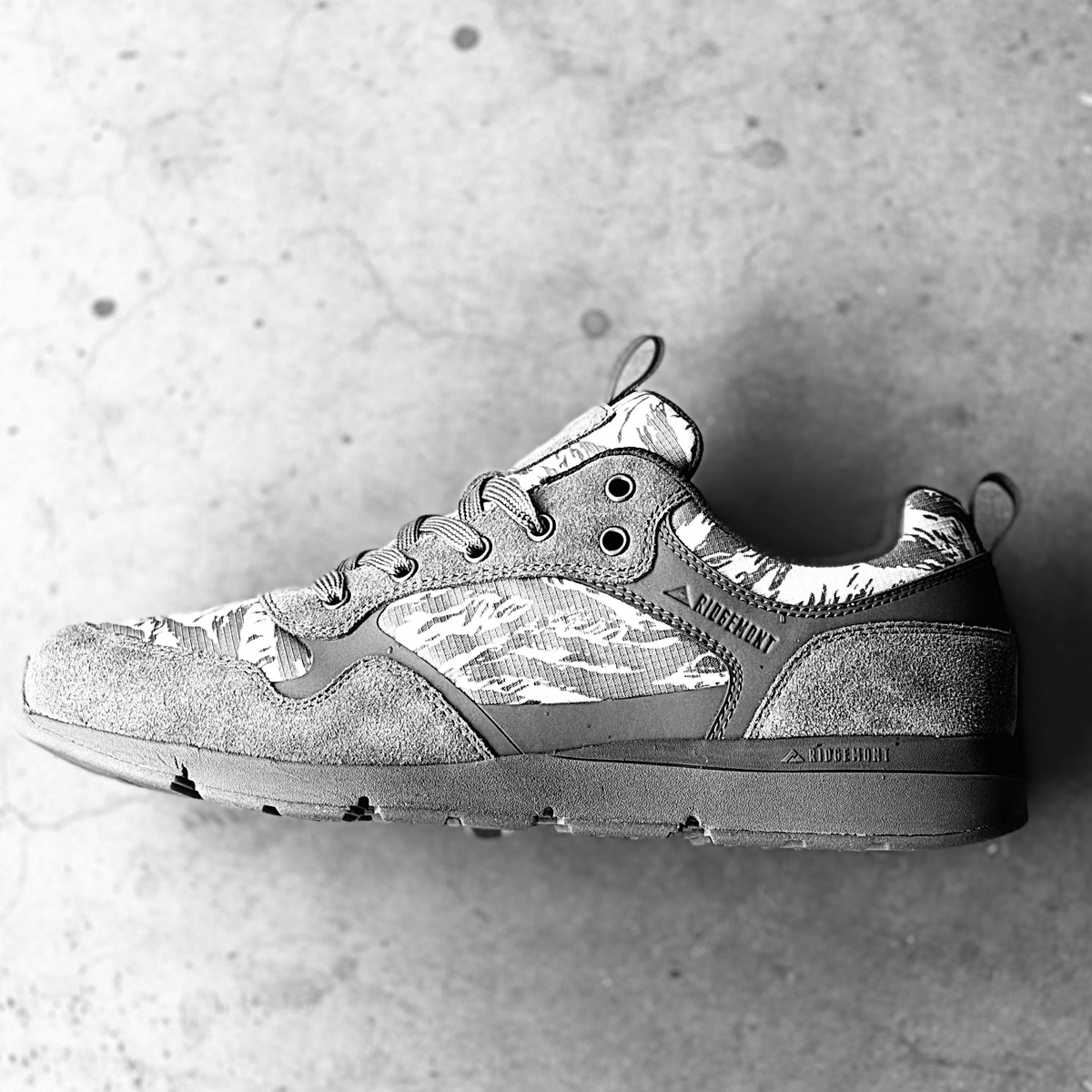 Method x Ridgemont Desert Tiger Collab Shoe